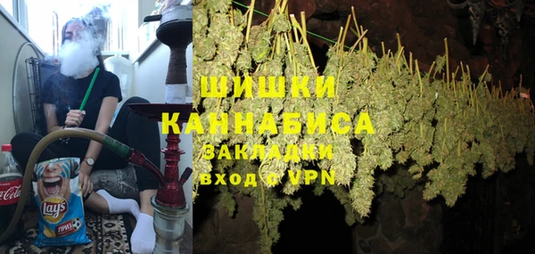 прущие грибы Алзамай