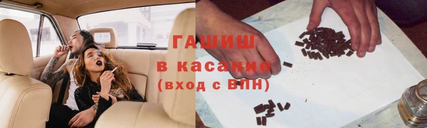 прущие грибы Алзамай
