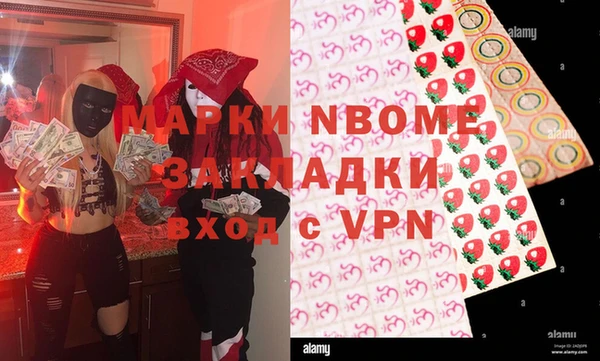 прущие грибы Алзамай