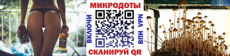 Галлюциногенные грибы Psilocybine cubensis  Дедовск 